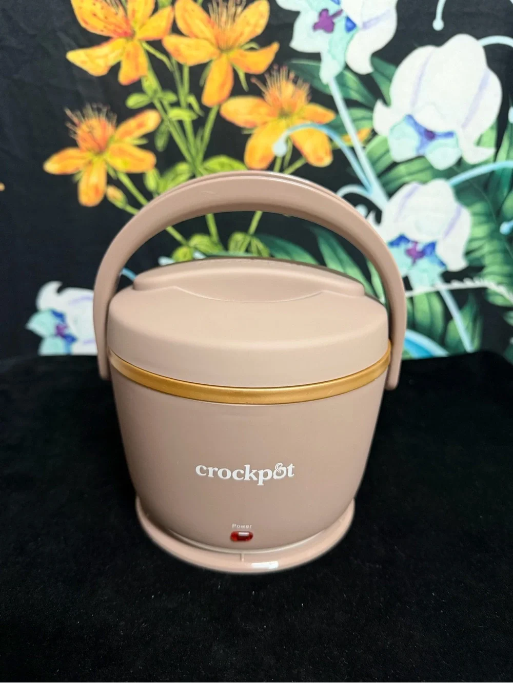 Crockpot Compact Electric Cooker in Taupe with Gold Trim